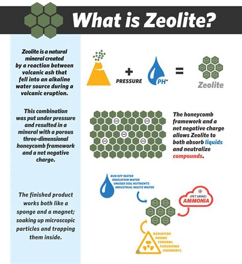 what is zeolite.